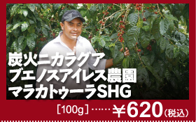 炭火ニカラグア ブエノスアイレス農園 マラカトゥーラSHG